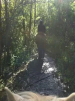 trail 2.webp