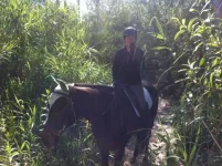 trail 3.webp