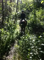 trail 4.webp