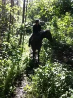 trail 5.webp