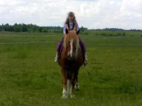 SAM_3083.webp