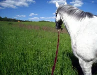 IMG_0095.webp