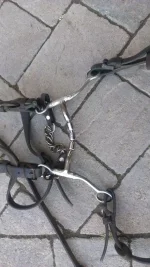 myler bit1.webp