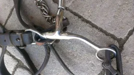myler bit side.webp