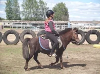 DSCF2132.webp