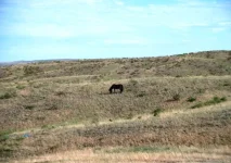 DSCF3585.webp