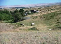 DSCF3586.webp