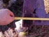Борона дисковая с размерами . Такторы и каркасы ангаров Газопров 019.jpg
