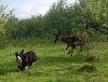 DSC_1218.JPG