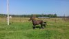 IMG-20170813-WA0001.jpg