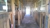 IMAG0418.jpg