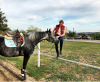IMG_20180521_152616 (1).png