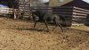 IMG-20180422-WA0001.jpg