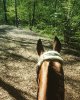 IMG_20180508_161412_597.jpg