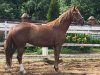 IMG-20180609-WA0011.jpg