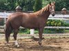 IMG-20180609-WA0012.jpg
