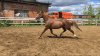 IMG-20180609-WA0015.jpg