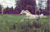 F5A85482-CBBC-4149-A84F-6AACAA0747CF.jpeg