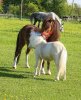 IMG_0226.JPG