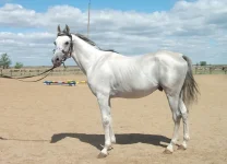 DSCF3610.webp