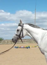 DSCF3611.webp