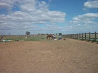 DSCF3595.webp