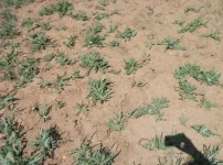 DSCF3599.webp