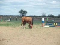 DSCF3605.webp