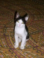 S6302562.webp