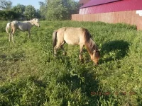 DSCN0357.webp