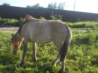 DSCN0360.webp