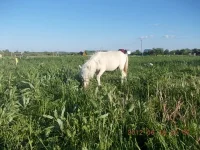 DSCN0374.webp