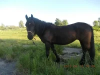 DSCN0379.webp