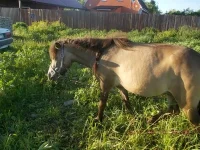 DSCN0373.webp