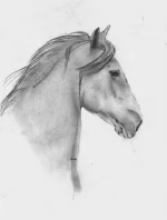 рисунок.webp