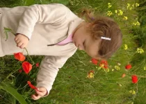 7875.webp