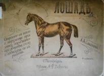 DSCN0279.webp
