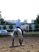 DSCN0139_1.webp