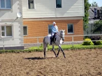 DSCN0133_1.webp
