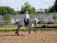 DSCN0132_1.webp