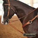 german martingale.webp