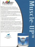Muscle_Up.webp