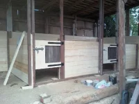 IMG043-01.webp