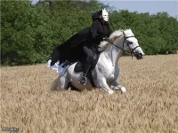 00aa0d41400a.webp