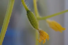 DSC01121.webp