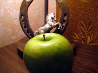 IMG_0007=.webp