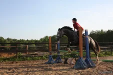 204956083.webp