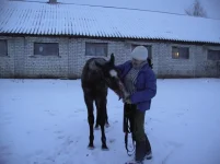 y_386681e5.webp