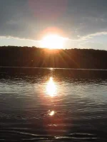 5742420.webp