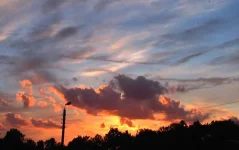 5497802.webp